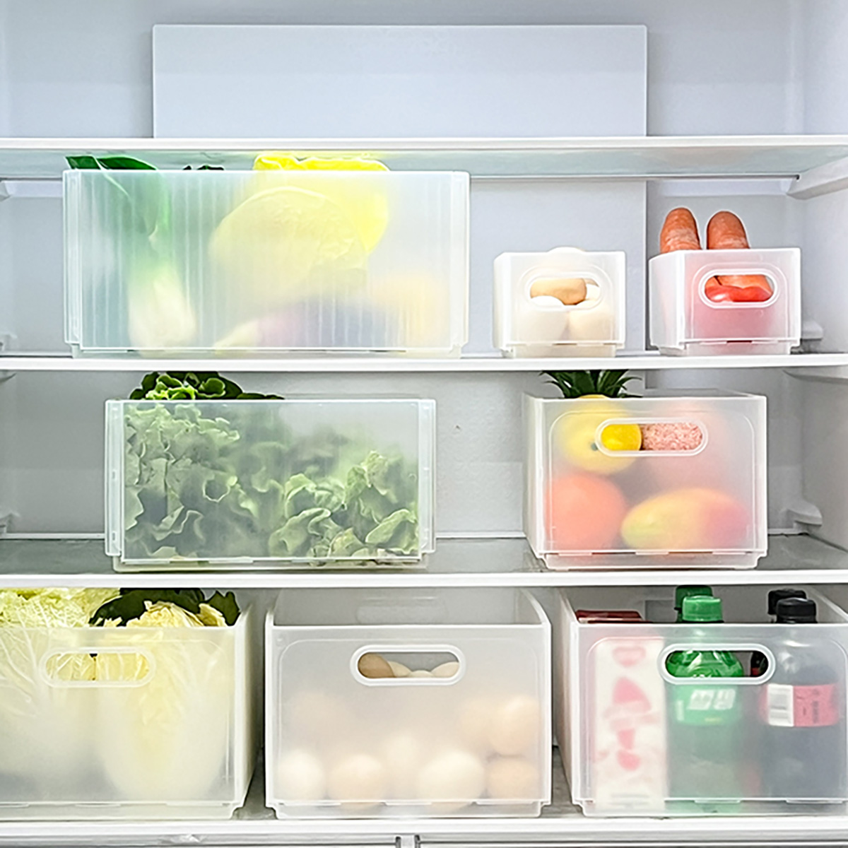WORTHBUY Plastic Folding Fridg - Xxl Food Storage Container review and price
