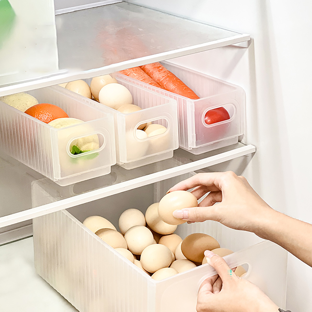WORTHBUY Plastic Folding Fridg - Xxl Food Storage Container review and price